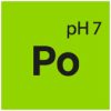 Pol Star (Po) 1 LTR - Image 2